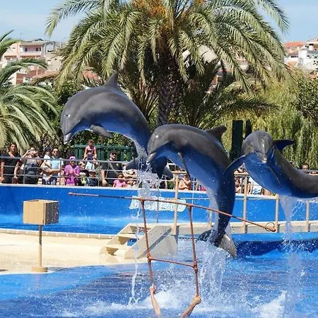 Seaview Palace * Malgrat de Mar